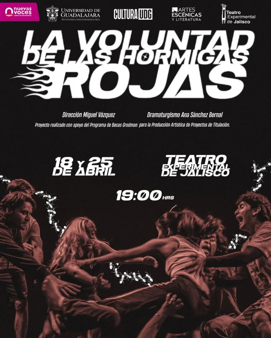 La voluntad de las hormigas rojas