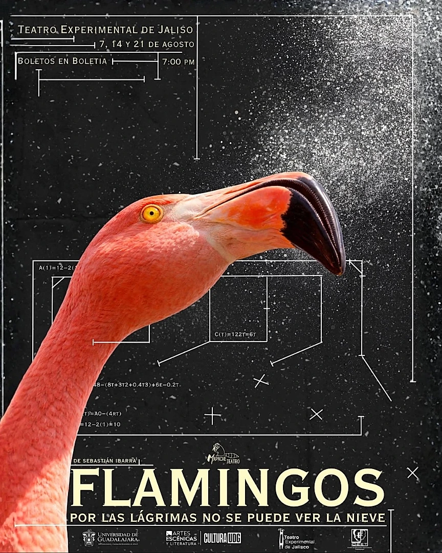 Flamingos: Por Las Lágrimas No Se Puede Ver La Nieve