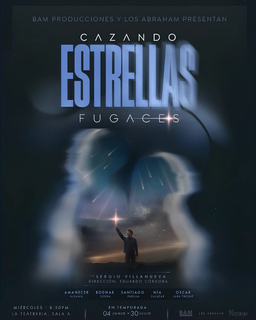 Cazando Estrellas Fugaces