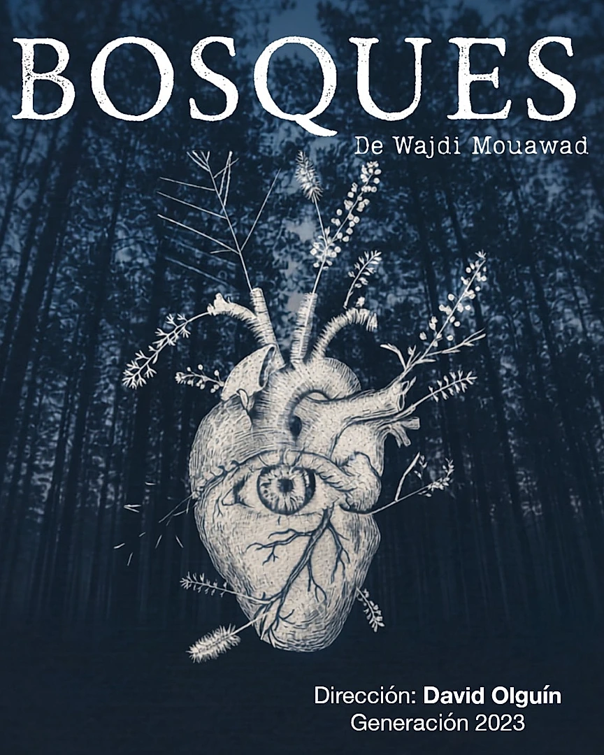 Bosques