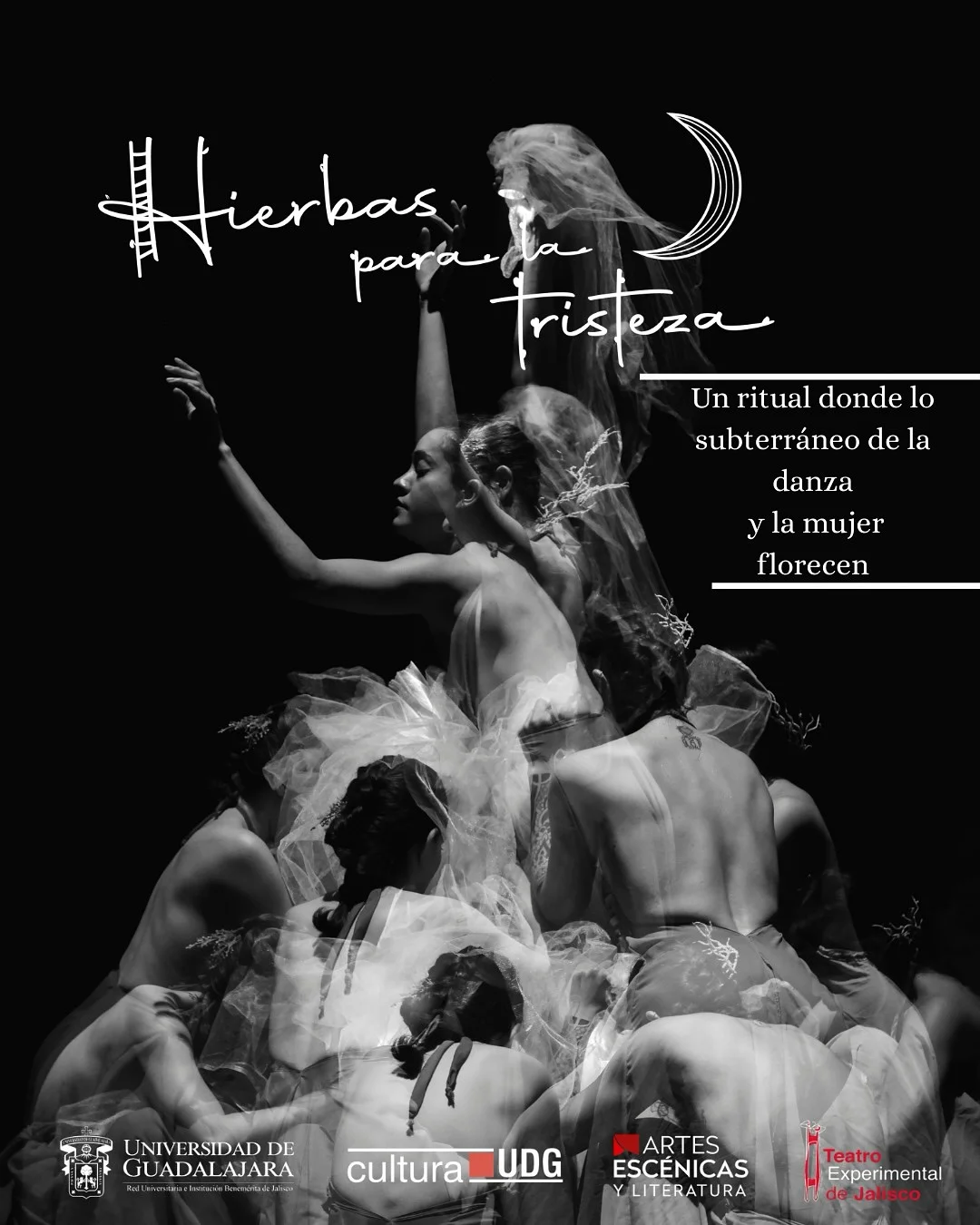 Hierbas para la tristeza