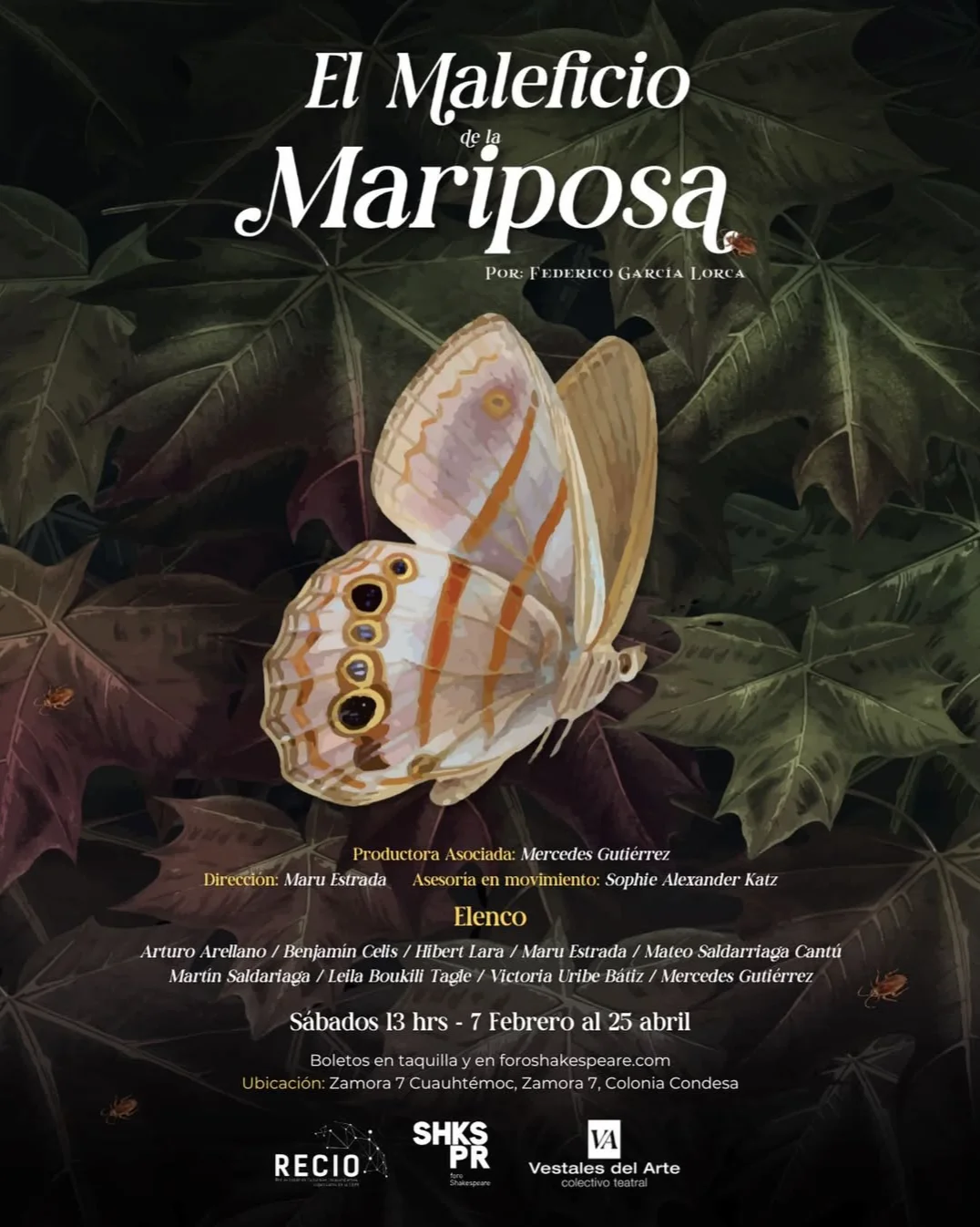 El maleficio de la mariposa