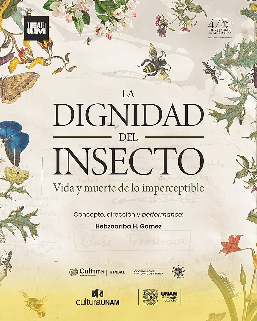 La Dignidad Del Insecto: Vida y Muerte de lo Imperceptible