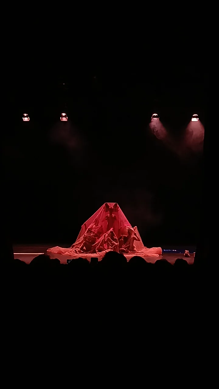 Foto de Quisiera Ser Un Ajolote compartida por @lgquinterov